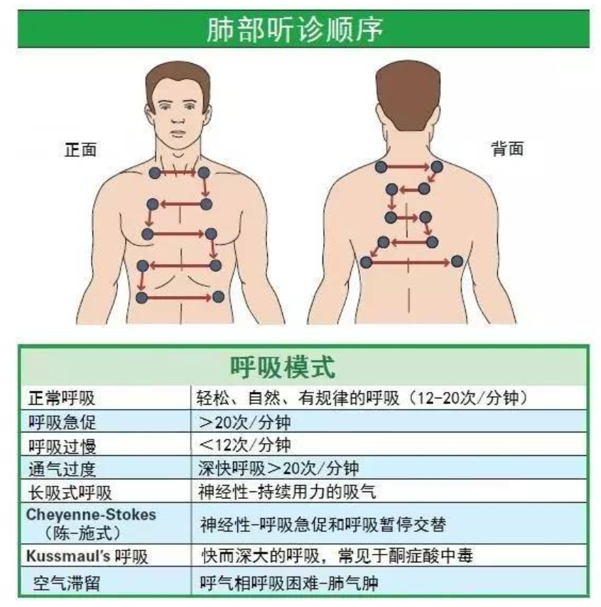 肺部听诊是什么 肺部听诊部位顺序及注意事项