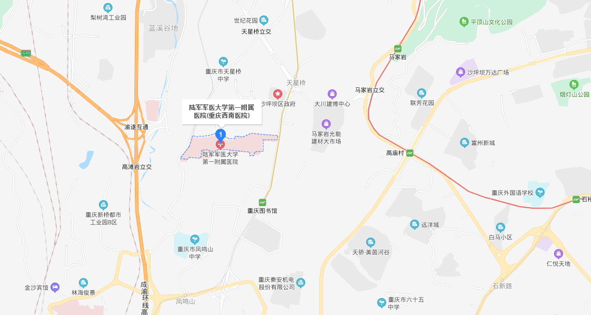 重庆西南医院地图