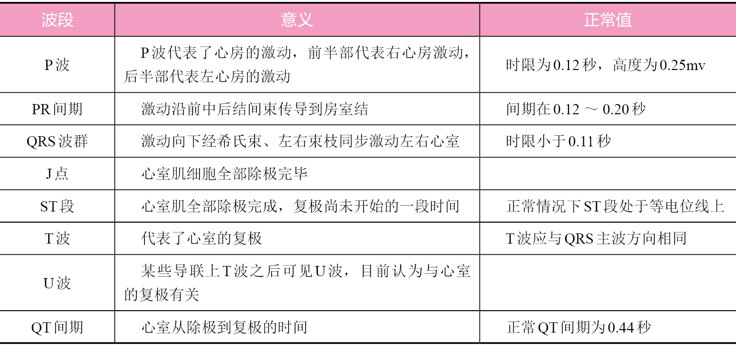 心电图波段组成及意义