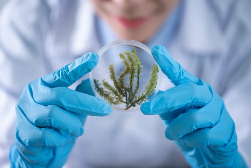 人绒毛膜促性腺激素正常值是多少? 人绒毛膜促性腺激素正常值是多少?