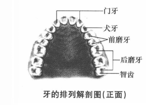 口腔颌面检查有哪些内容