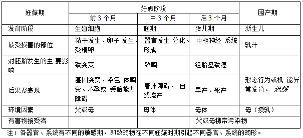 先天缺陷的敏感期是什么时候