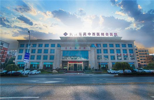 武汉东苑中西医结合医院体检中心